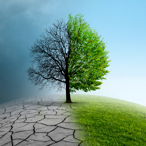 LA STAMPA A FREDDO EPSON COMBATTE I CAMBIAMENTI CLIMATICI