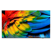 Philips Hospitality TV 65" 4K Ultra HD Smart TV Wi-Fi