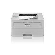 Brother HL-L2865DW Stampante laser mono professionale con scheda di rete, wireless e unità fronte/retro