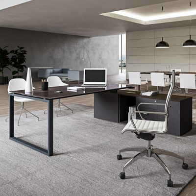 VISTA Scrivania da ufficio con piano in legno e coppia gambe ad anello P80