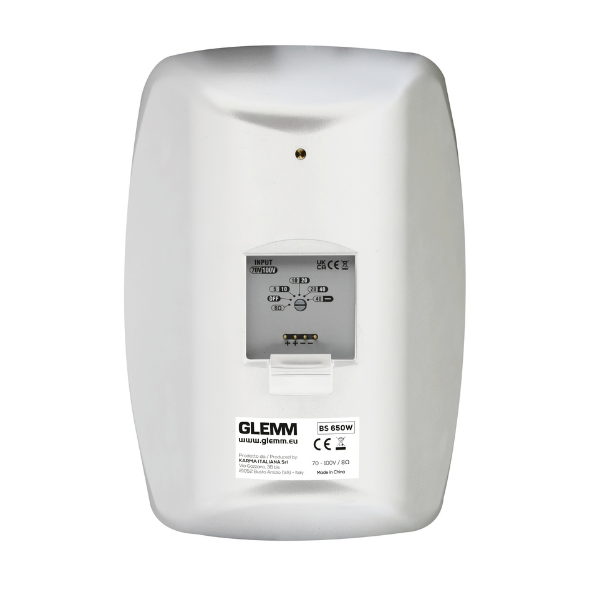 BS 650W Coppia Diffusori 120W
